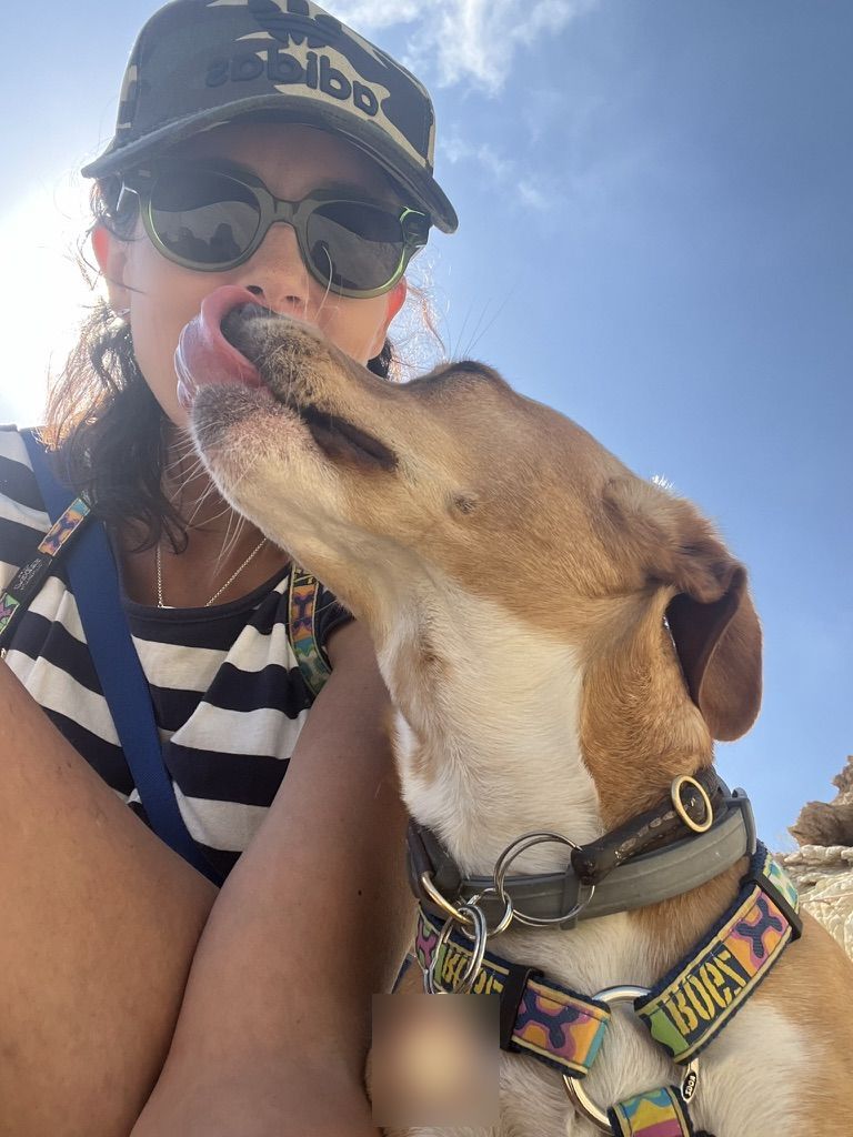 A tan and white dog licking Hilary's face on a sunny day